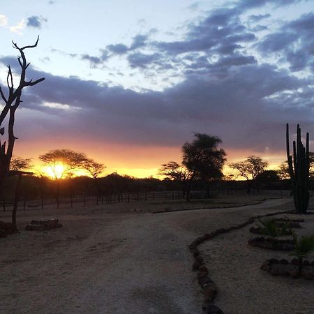 Roidina Safari Lodge Omaruru Dış mekan fotoğraf