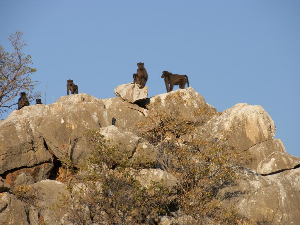 Roidina Safari Lodge Omaruru Dış mekan fotoğraf