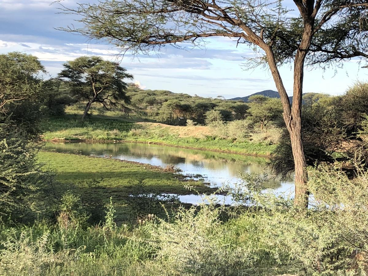 Roidina Safari Lodge Omaruru Dış mekan fotoğraf